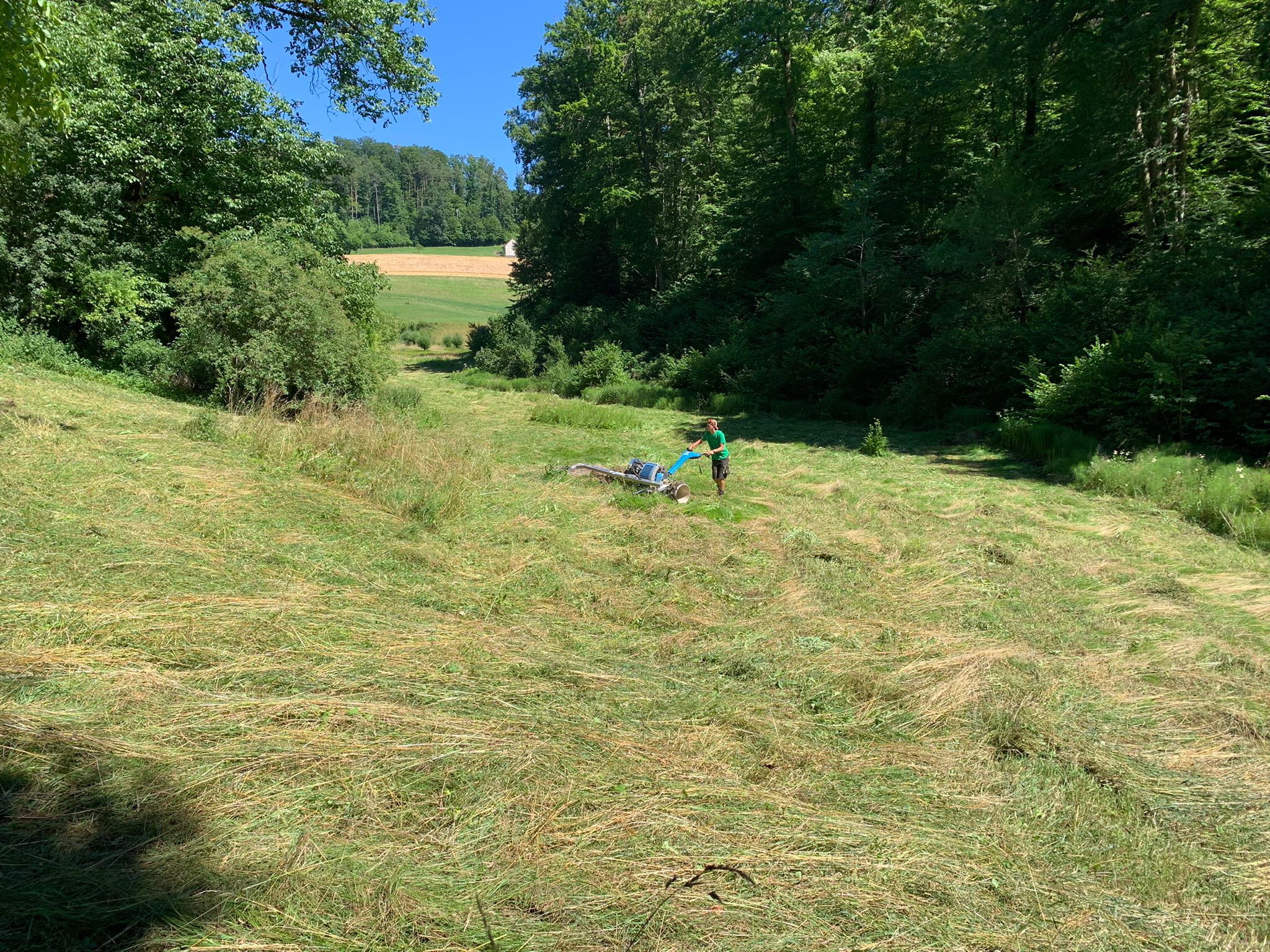 sommerpflege