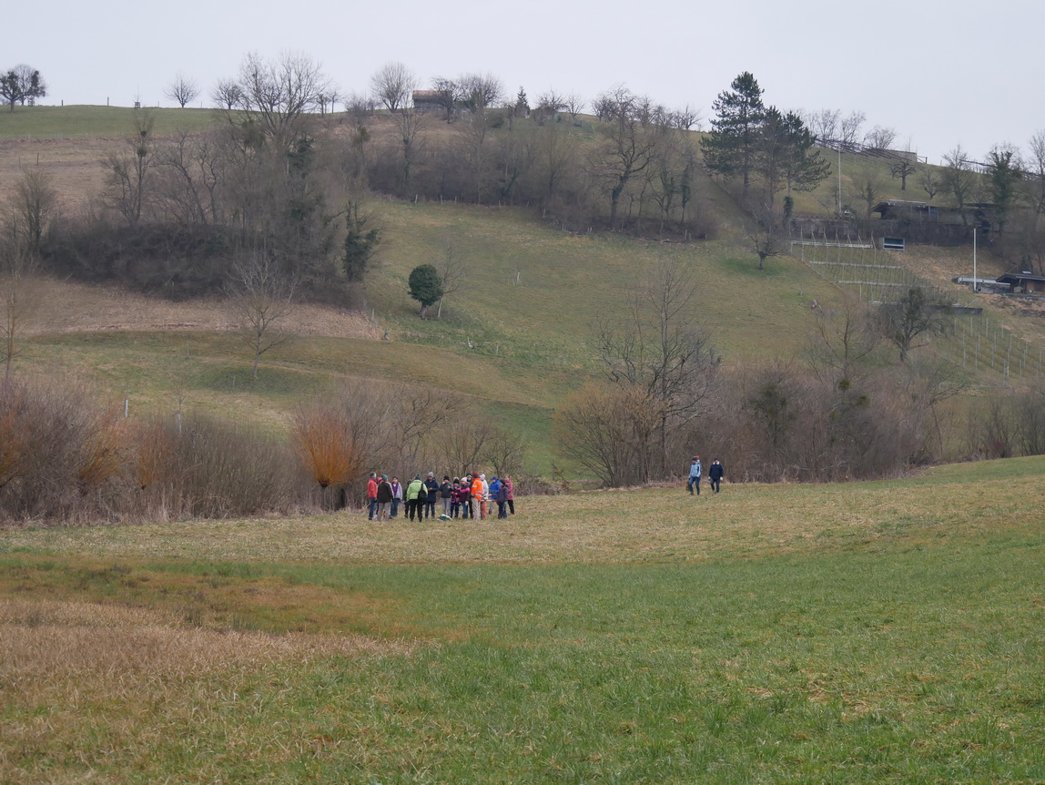 Das eifrige Team sammelt sich zum Schneiden der Weiden beim Looch. 