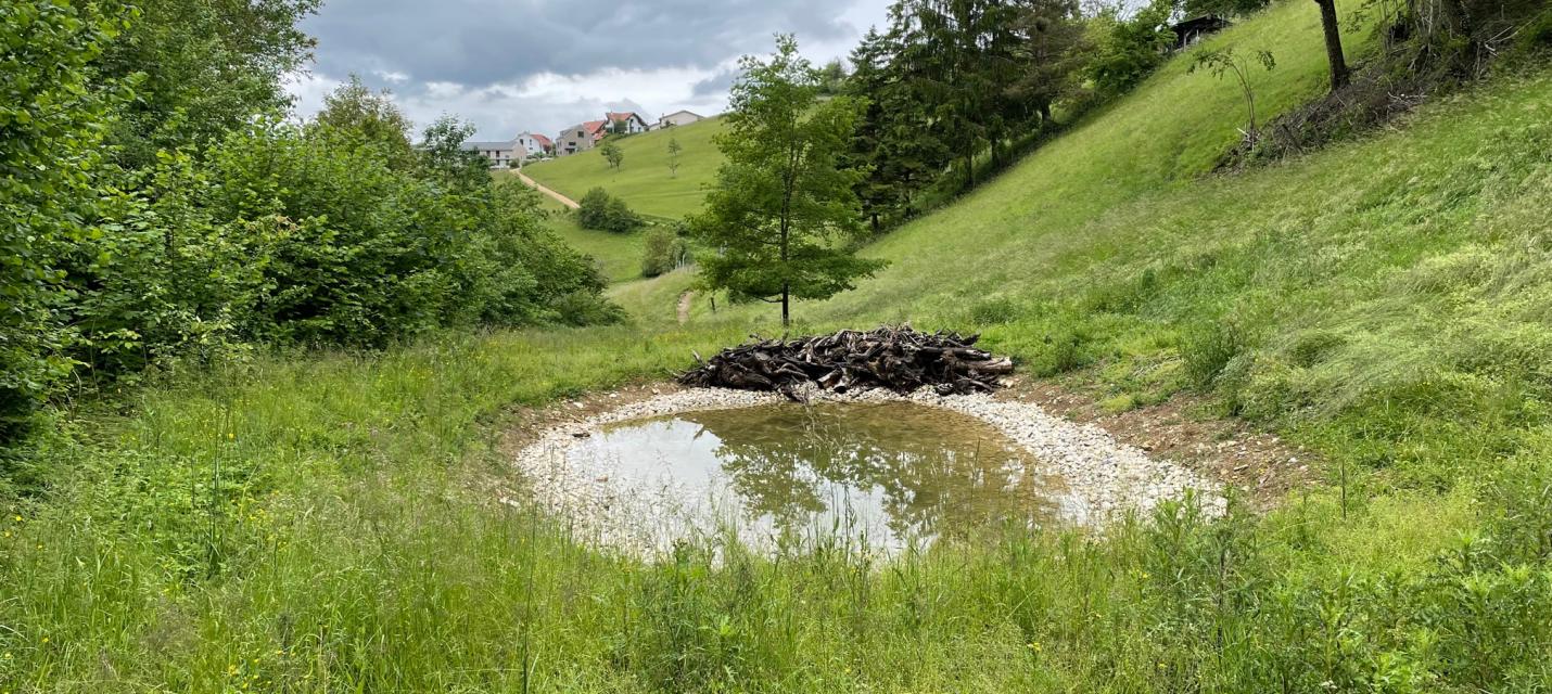 weiher im Buchen
