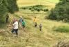 Sommerpflege im Looch